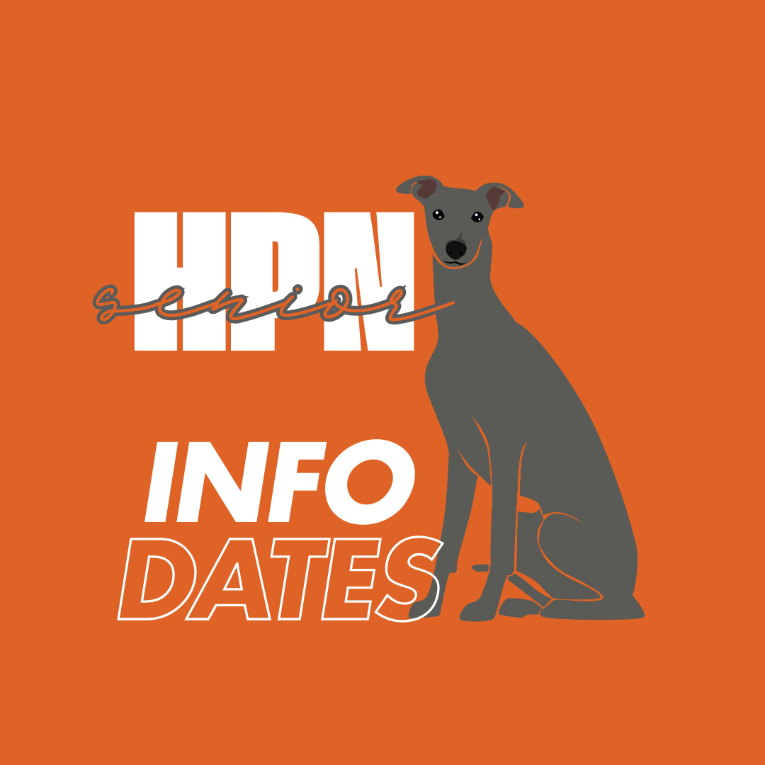 New Improved Senior Houndpack News