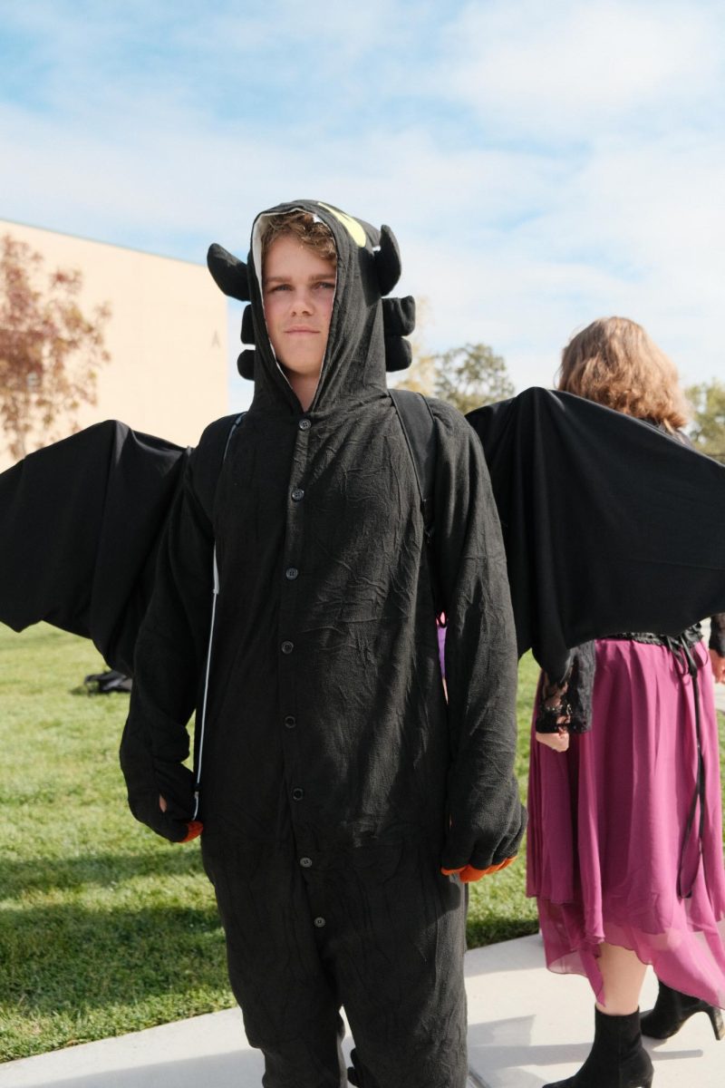 Benjamin Hasch as Toothless from How to Train Your Dragon