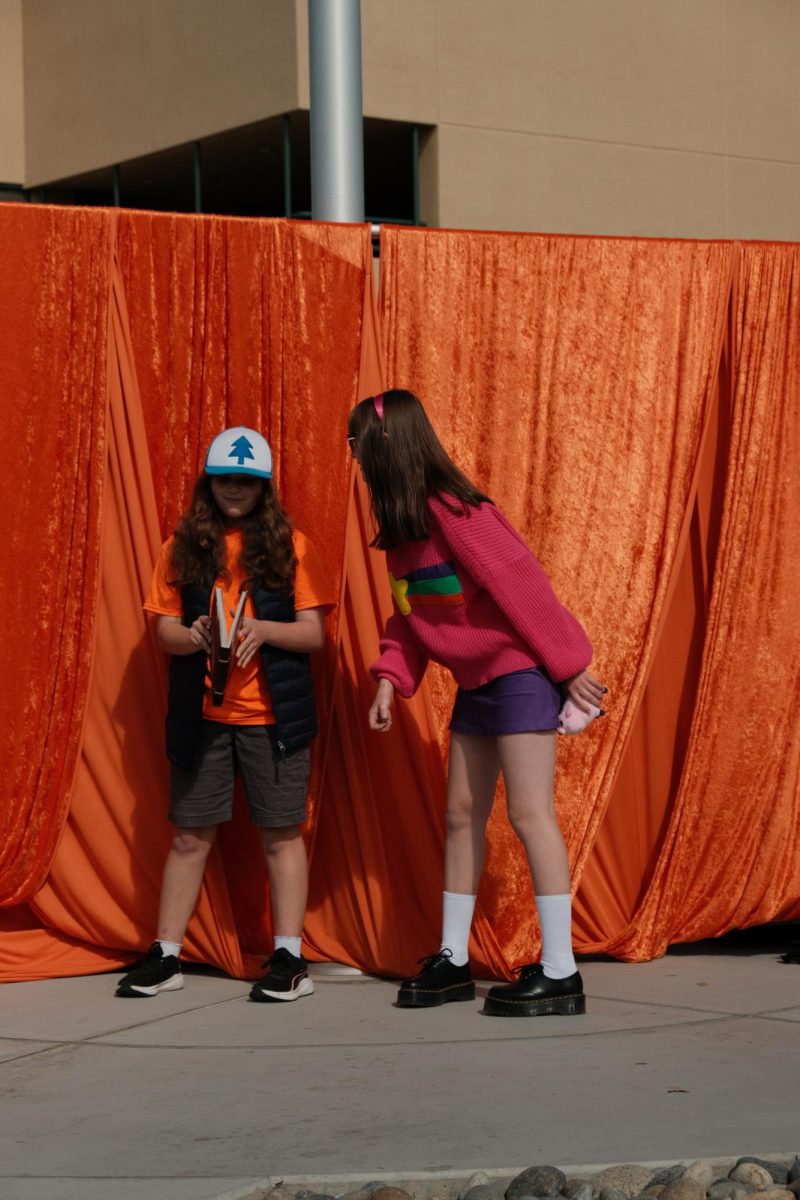 Lizzie Defraga (left) As Dipper and Vlada Sazhina (right) as Mabel Pines from Gravity Falls