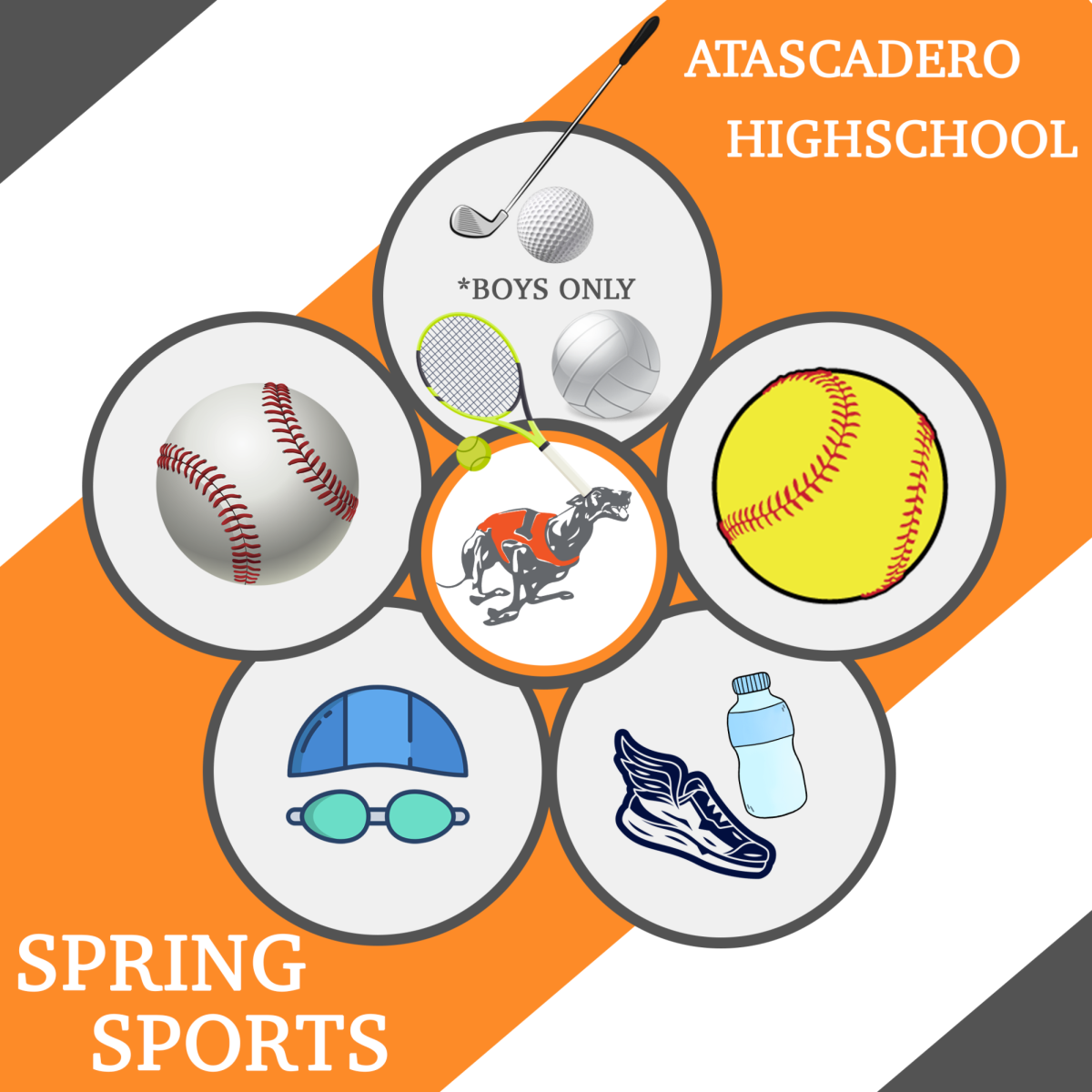 Spring Sports